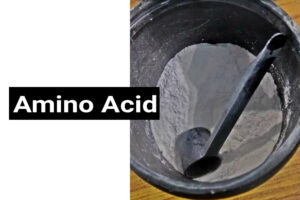 Amino Acid in Hindi