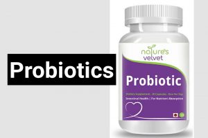 Probiotics in Hindi